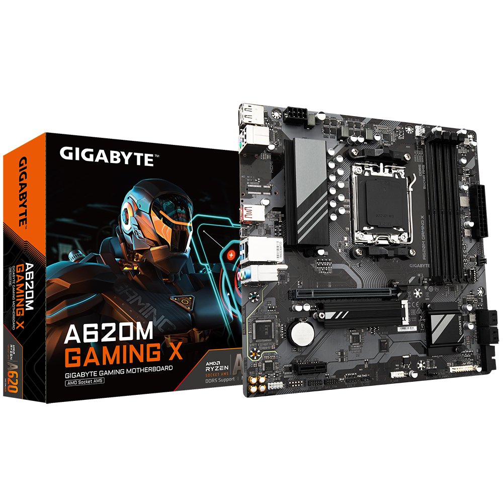 Gigabyte B460M DS3H